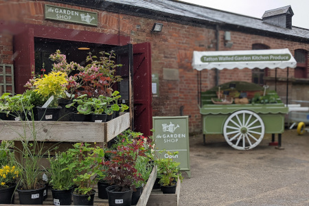 The Garden shop.